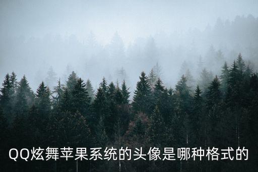 炫舞手游苹果系统怎么改头像，qq炫舞手游能换头像吗