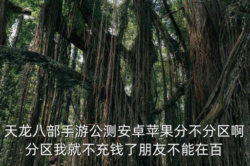 天龙八部手游公测安卓苹果分不分区啊分区我就不充钱了朋友不能在百