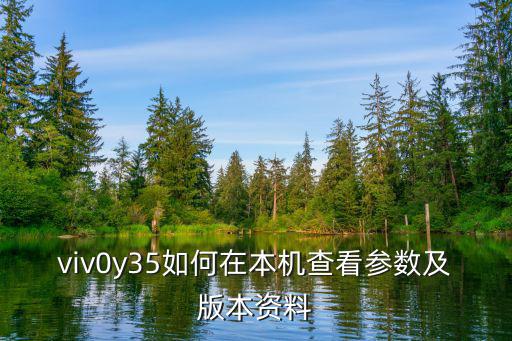 viv0y35如何在本机查看参数及版本资料