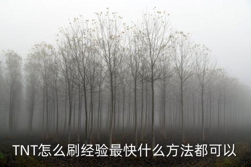 TNT怎么刷经验最快什么方法都可以