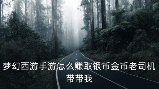 梦幻西游手游怎么赚取银币金币老司机带带我