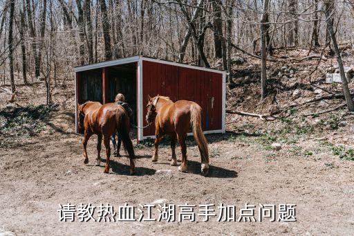 热血江湖手游男鬼刀怎么加点，请教热血江湖高手加点问题