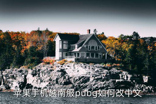 苹果手机越南服pubg如何改中文