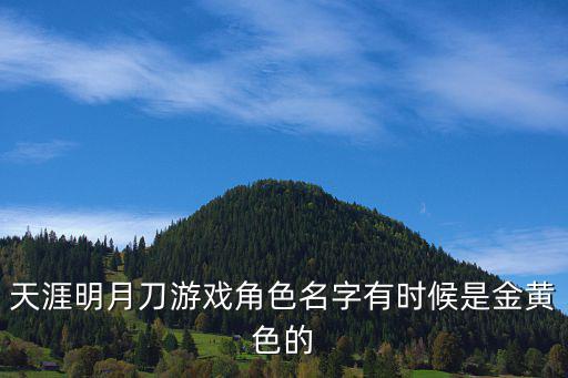 天涯明月刀游戏角色名字有时候是金黄色的