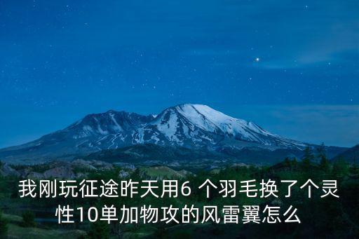 我刚玩征途昨天用6 个羽毛换了个灵性10单加物攻的风雷翼怎么