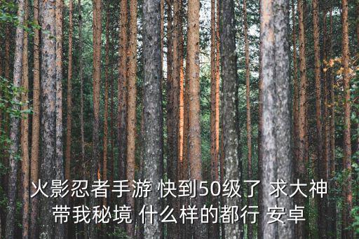 火影忍者手游 快到50级了 求大神带我秘境 什么样的都行 安卓