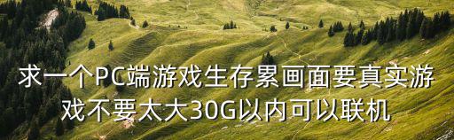 求一个PC端游戏生存累画面要真实游戏不要太大30G以内可以联机