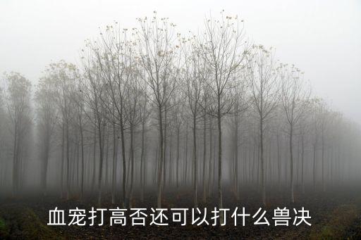 血宠打高否还可以打什么兽决