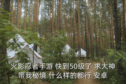 火影忍者手游 快到50级了 求大神带我秘境 什么样的都行 安卓