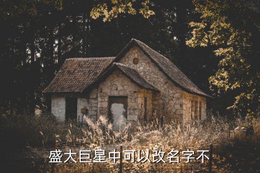 盛大巨星中可以改名字不