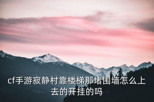 cf手游寂静村靠楼梯那堵围墙怎么上去的开挂的吗