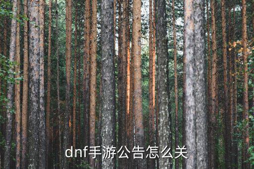 dnf手游公告怎么关