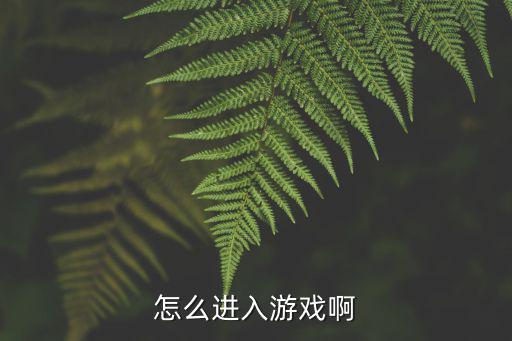 怎么进入游戏啊