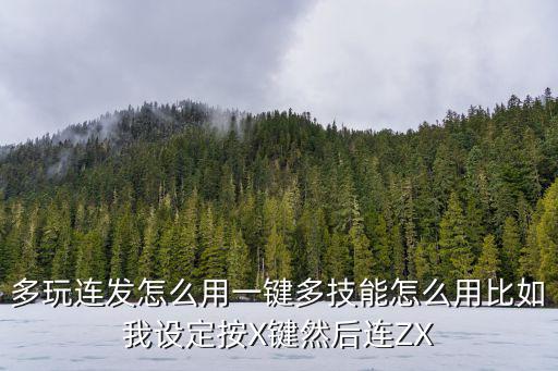 多玩连发怎么用一键多技能怎么用比如我设定按X键然后连ZX