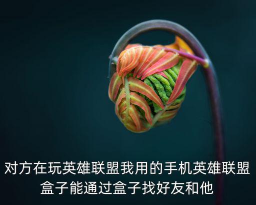 lol手游盒子怎么和好友聊天，lol盒子怎么给对方发话