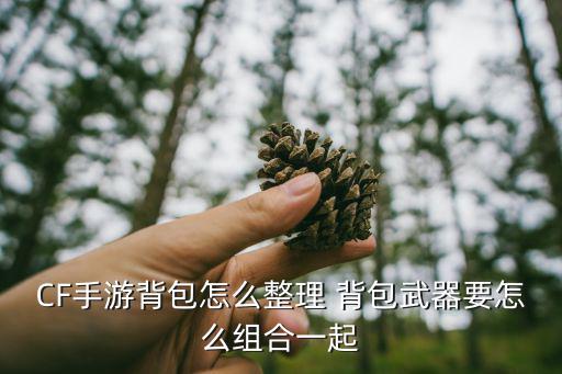 CF手游背包怎么整理 背包武器要怎么组合一起