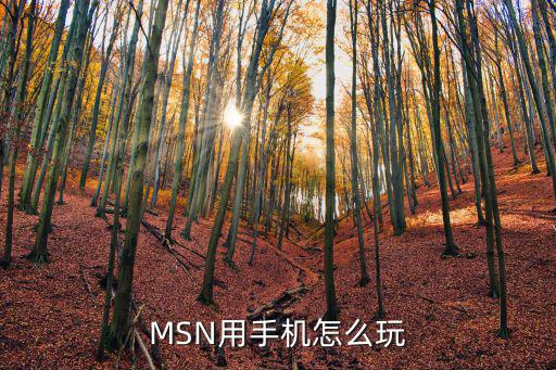 MSN用手机怎么玩