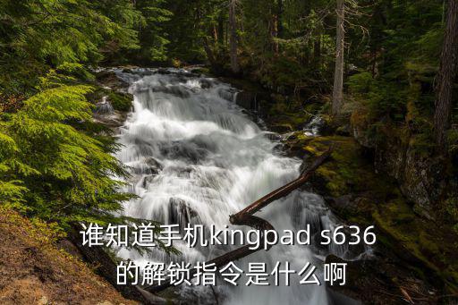 谁知道手机kingpad s636 的解锁指令是什么啊