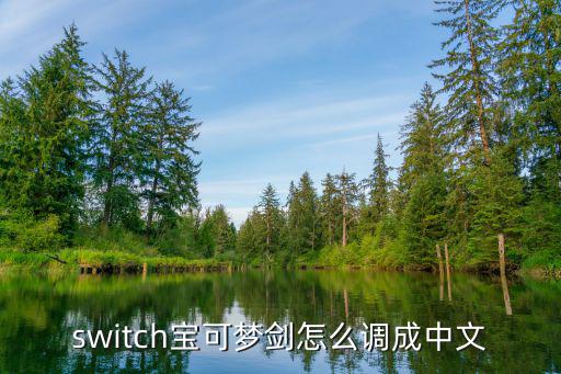 switch宝可梦剑怎么调成中文