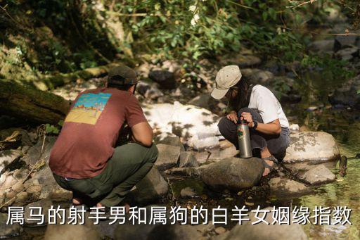 属马的射手男和属狗的白羊女姻缘指数