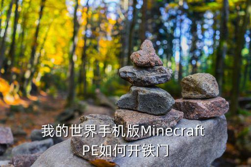 我的世界手机版Minecraft PE如何开铁门