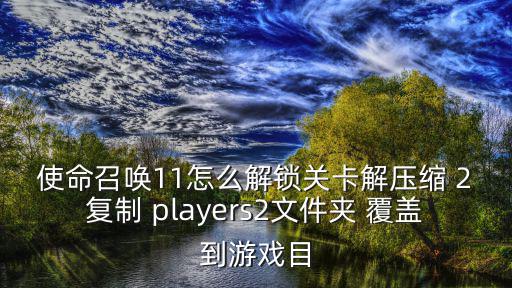 使命召唤11怎么解锁关卡解压缩 2复制 players2文件夹 覆盖到游戏目