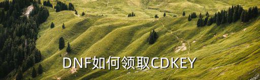 地下城手游苹果cdk怎么领取，DNF中CDKEY在哪领取