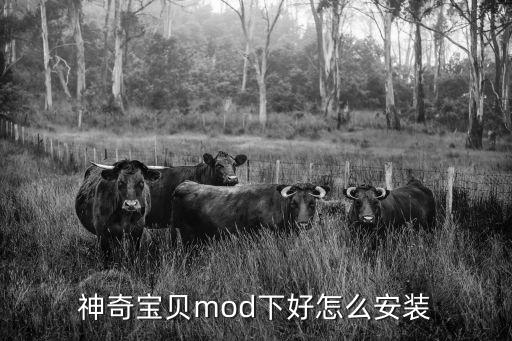 神奇宝贝mod下好怎么安装