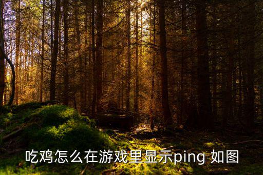 吃鸡怎么在游戏里显示ping 如图