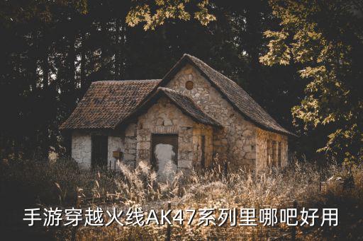 穿越火线手游ak心动次元怎么样，cf手游AK狂徒怎么样