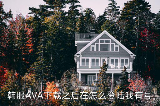 韩服AVA下载之后在怎么登陆我有号