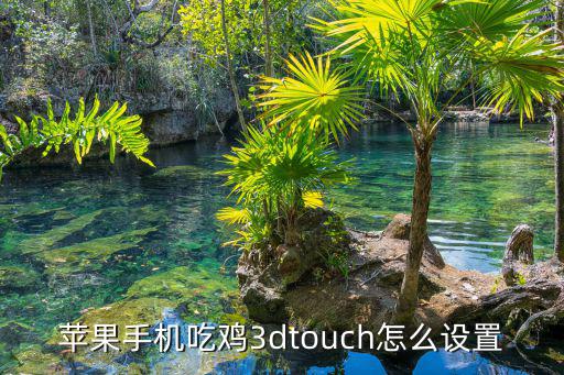 苹果手机吃鸡3dtouch怎么设置