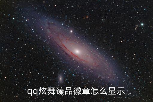 qq炫舞臻品徽章怎么显示