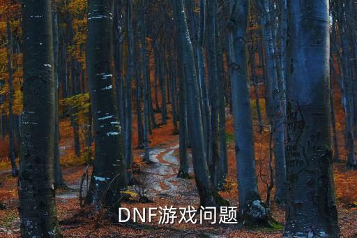 DNF游戏问题