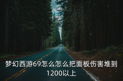 梦幻西游69怎么怎么把面板伤害堆到1200以上