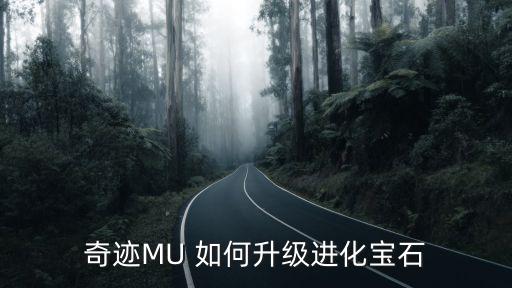 奇迹MU 如何升级进化宝石