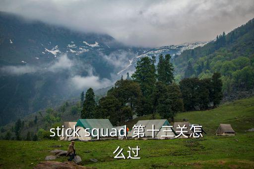 stick squad 第十三关怎么过