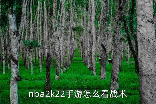 nba2k22手游怎么看战术