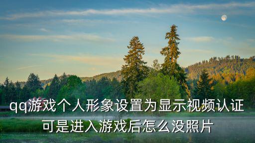 qq游戏个人形象设置为显示视频认证可是进入游戏后怎么没照片