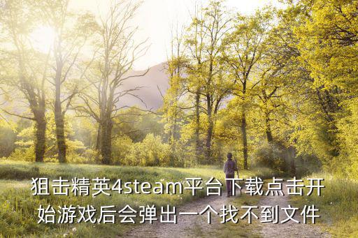 狙击精英4steam平台下载点击开始游戏后会弹出一个找不到文件