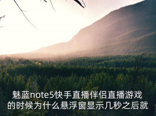 魅蓝note5快手直播伴侣直播游戏的时候为什么悬浮窗显示几秒之后就