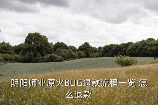 阴阳师业原火BUG退款流程一览 怎么退款