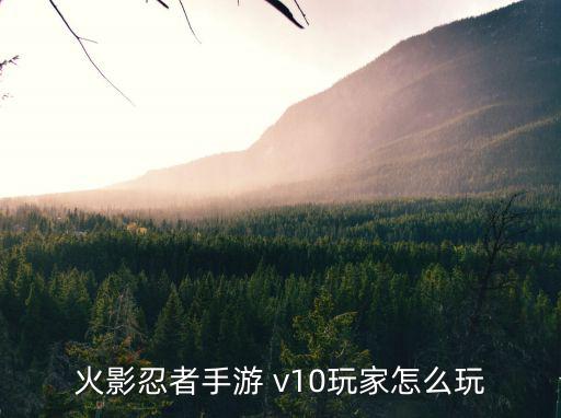 火影忍者手游 v10玩家怎么玩