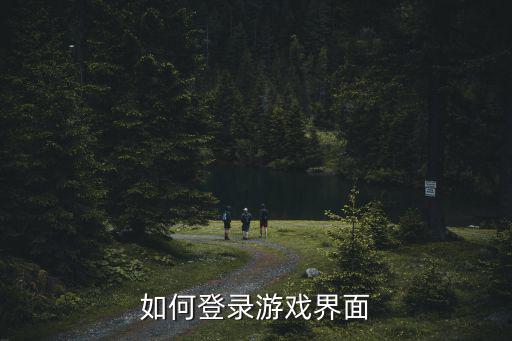 怎么登陆lol手游界面，英雄联盟进入不到游戏界面怎么办