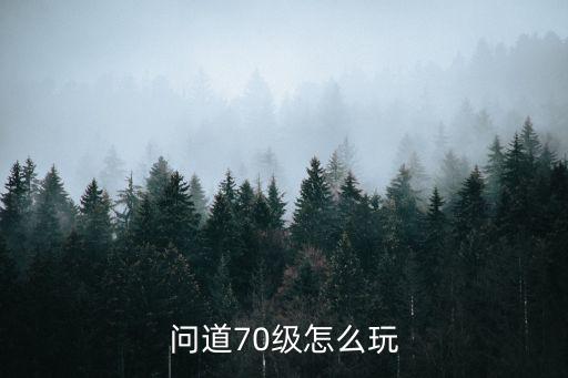 问道70级怎么玩