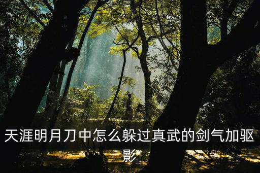 天涯明月刀中怎么躲过真武的剑气加驱影