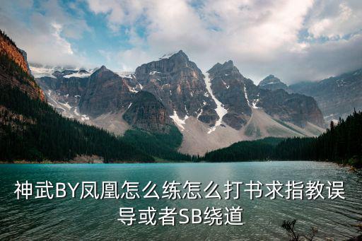 神武BY凤凰怎么练怎么打书求指教误导或者SB绕道