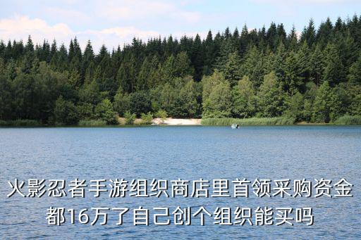 火影忍者手游组织商店里首领采购资金都16万了自己创个组织能买吗