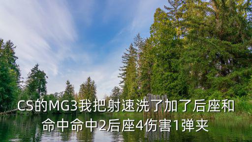 CS的MG3我把射速洗了加了后座和命中命中2后座4伤害1弹夹