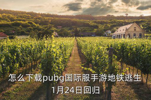 怎么下载pubg国际服手游地铁逃生1月24日回归